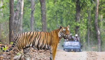 Golden Triangle Tour With Bharatpur And Ranthambore